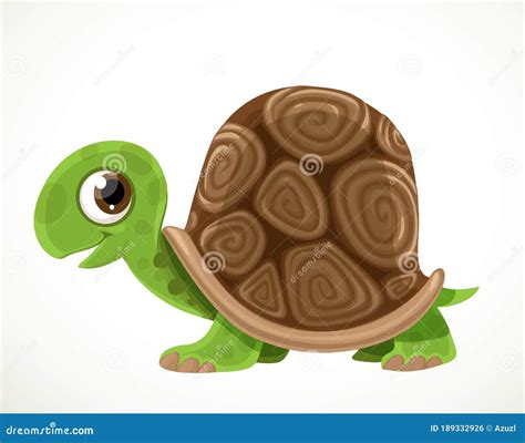 Cute Cartoon Green Turtle With A Big Tortoise Shell Isolated On A White ...