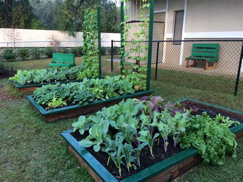 Raised Bed Gardening 101 - UF/IFAS Extension Leon County