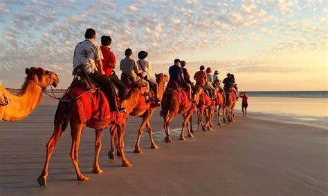 Cable Beach Sunset Camel Ride | Experience Oz