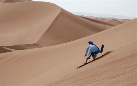 Liwa Oasis Safari From Abu Dhabi - Private Tour