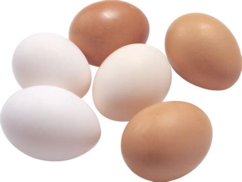 Eggs PNG Image - PurePNG | Free transparent CC0 PNG Image Library