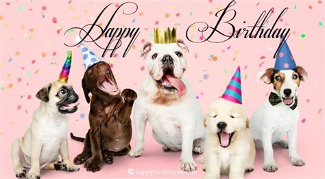 40+ Super Cute Happy Birthday Wishes for Dog with Images