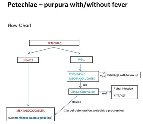 Petechiae and purpura with/without fever