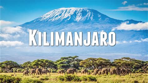 Mt Kilimanjaro | Tallest Mountain in East Africa | Tanzania Destinations