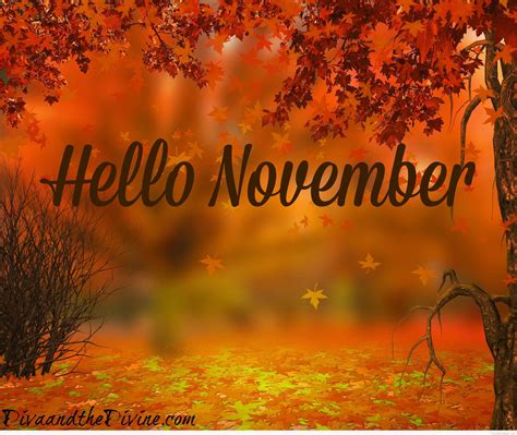 November Fall Wallpapers - Top Free November Fall Backgrounds - WallpaperAccess