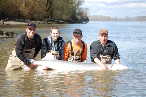 Sturgeon Fishing – Swiftwater Guiding