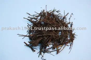 Himalayan Yew - Buy Himalayan Yew,Taxus Baccata,Herb Product on Alibaba.com