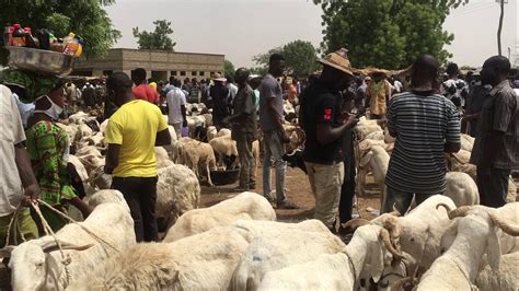 I went to the sheep market in bawku upper east region Ghana 🇬🇭 - YouTube