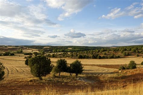 Countryside in Old Castile, Burgos, Spain | Spanish wine country, Explore travel, Beautiful places