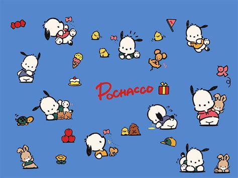 Sanrio Pochacco HD wallpaper | Pxfuel