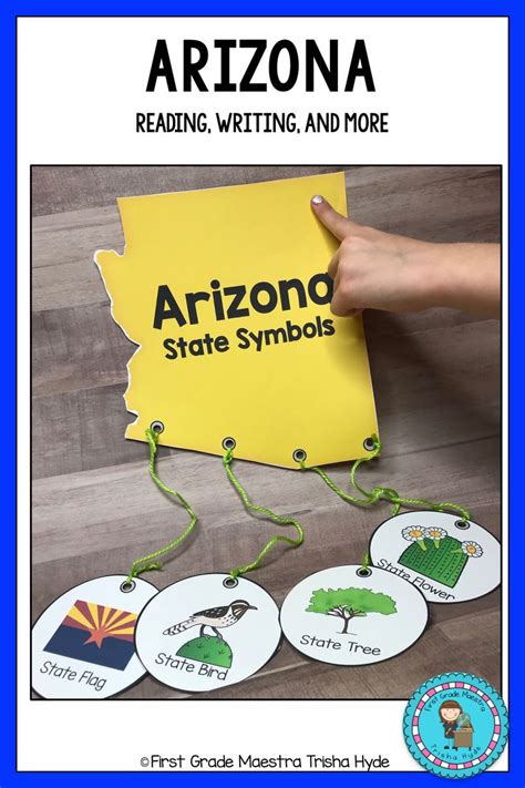 Arizona State Symbols | Arizona state, State symbols, Play based classroom