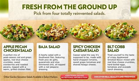 Wendy’s launches new salad range | Article | Fruitnet