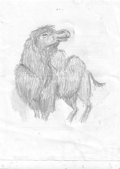 Bactrian camel by Frostmuzzle on DeviantArt