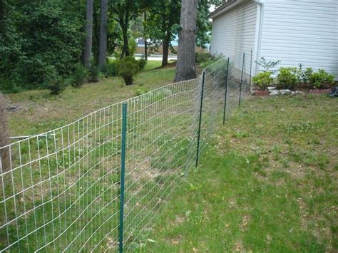 DIY Dog Fence Ideas and Installation Tips: 6 Best Cheap Designs