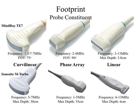 Internal Medicine Point of Care Ultrasound - IMPoCUS