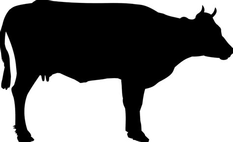 Download Cattle, Beef Cattle, Cow. Royalty-Free Vector Graphic - Pixabay