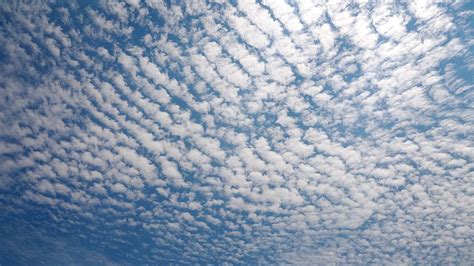 ¿Por qué aparecen nubes "aborregadas" en Nuevo León cuando hace frío ...