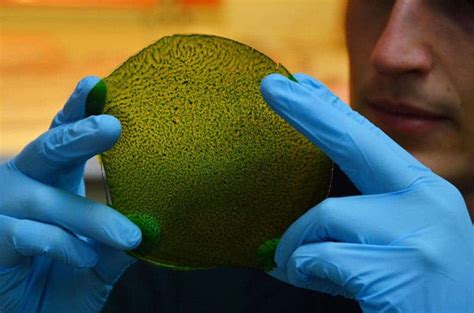 First man-made biological leaf might actually be useless