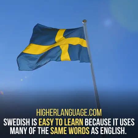 11 Easiest Languages To Learn For English Speakers | HL