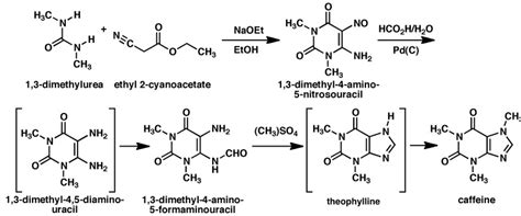 Biogenetik Alkaloid Pada Makhluk Hidup