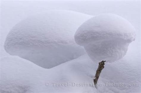 Snow Formation