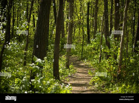 Mount magazine state park hi-res stock photography and images - Alamy