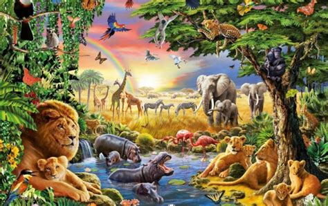 Cuatro Animales De La Selva Wallpapers - All Animals In Jungle - 1280x804 Wallpaper - teahub.io