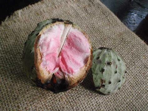 Anonas | El salvador, Artichoke, Fruit