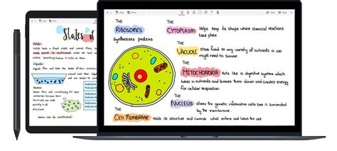 Noteshelf on Windows | Note-taking app | PDF markups