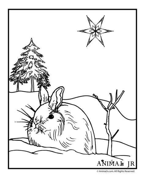 Winter Animals Coloring Pages Printable