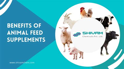 Benefits of Animal Feed Supplements