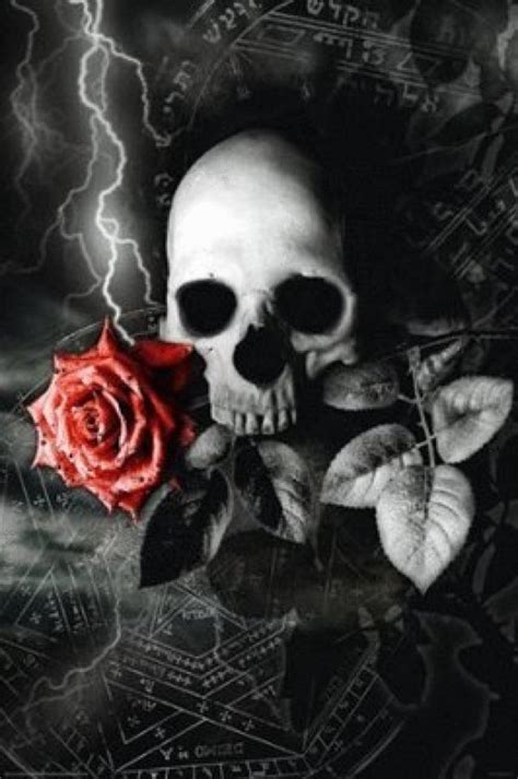 Black Rose Wallpaper Gothic (#799810) - HD Wallpaper & Backgrounds Download