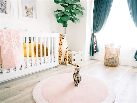 Cat-themed nursery | Celebrity Nursery | Evolur Dream Nurseries