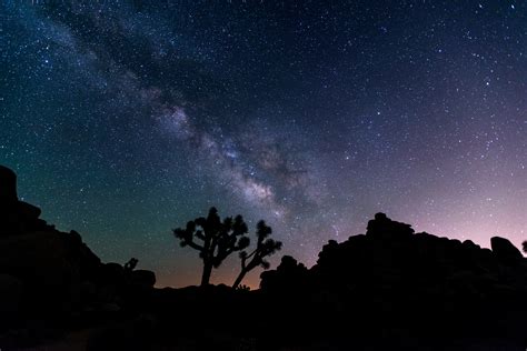 Night Sky Festival - Joshua Tree National Park (U.S. National Park Service)