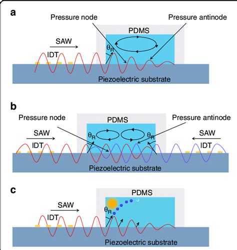 Schematic diagrams of different types of surface acoustic waves. a... | Download Scientific Diagram