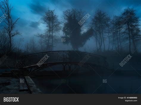 Dark Scary Park Night Image & Photo (Free Trial) | Bigstock