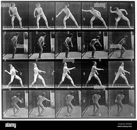 E. Muybridge "Animal locomotion", plate Stock Photo - Alamy