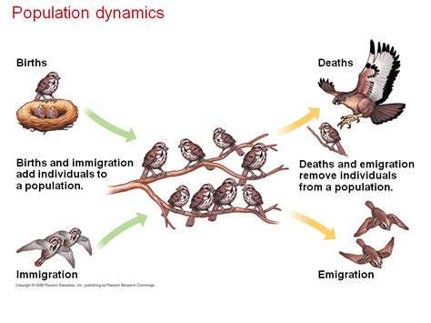 Immigration Biology