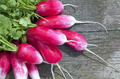 French Breakfast Radish Seeds - Heirloom – Hometown Seeds