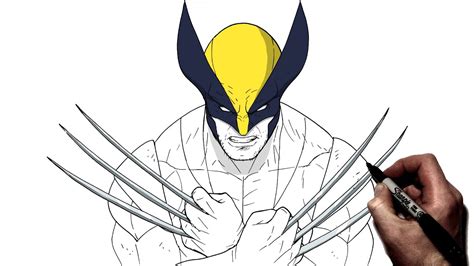 How To Draw Wolverine | Step By Step | Marvel - YouTube