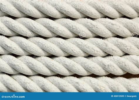 White Rough Rope Texture Royalty-Free Stock Photography | CartoonDealer.com #40813505