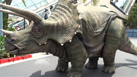 Triceratops Encounter in Jurassic World at Universal Studios Hollywood - YouTube