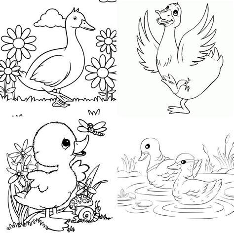 25 Free Duck Coloring Pages for Kids and Adults