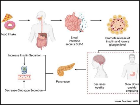 Tirzepatide vs Bariatric Surgery | Which is better? Explore with us!