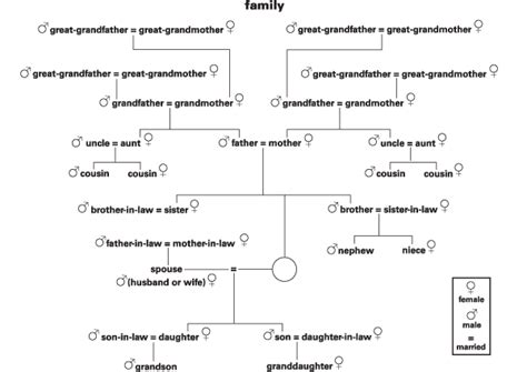 Family Definition & Meaning | Britannica Dictionary