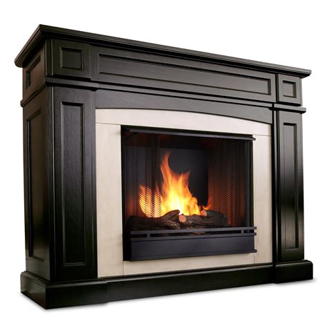 Ventless Propane Fireplace With Blower | Home Design Ideas