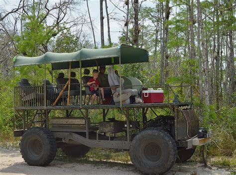 C&G's Big Cypress Swamp Buggy Tours (Chokoloskee) - 2022 Lo que se debe ...