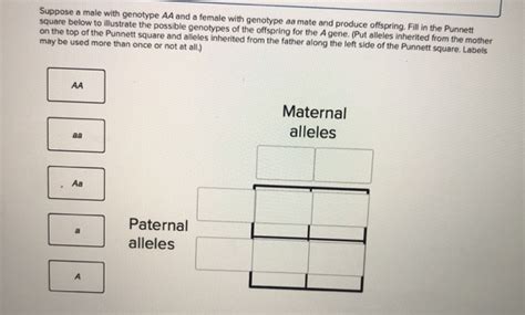 Solved Suppose a male with genotype AA and a female with | Chegg.com