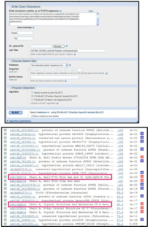 PSI-BLAST input panel (top) and PSI-BLAST output iteration (bottom ...