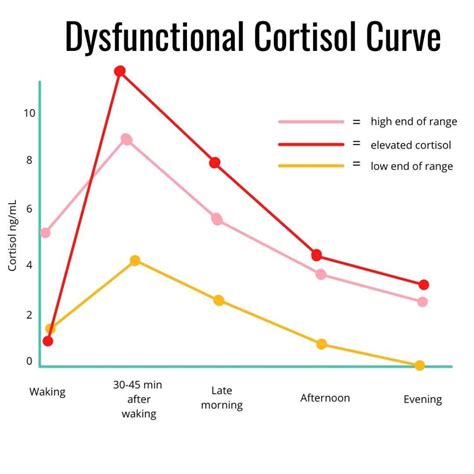 How-to-reduce-cortisol-levels-naturally-1-1 - FWDfuel Sports Nutrition